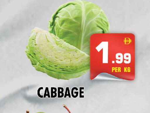 Cabbage available at NIGHT TO NIGHT DEPARTMENT STORE in UAE - Dubai