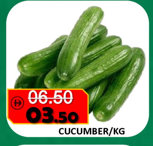 Cucumber available at رويال جلف هايبرماركت in الإمارات العربية المتحدة , الامارات - أبو ظبي