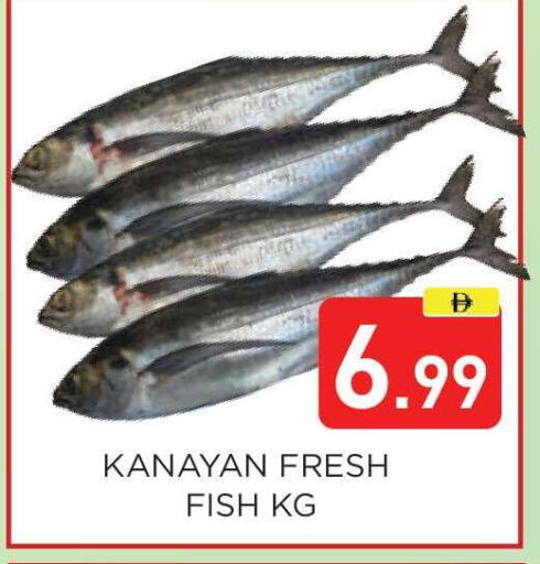 available at عين المدينة هايبرماركت in الإمارات العربية المتحدة , الامارات - الشارقة / عجمان