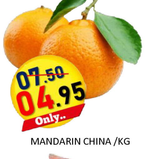 Mandarin from China available at رويال جلف هايبرماركت in الإمارات العربية المتحدة , الامارات - أبو ظبي
