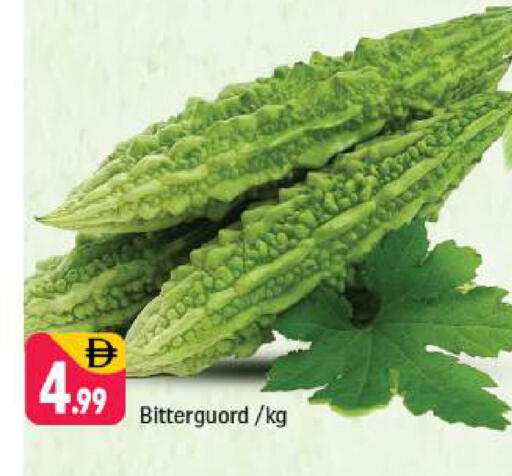 available at شكلان ماركت in الإمارات العربية المتحدة , الامارات - دبي