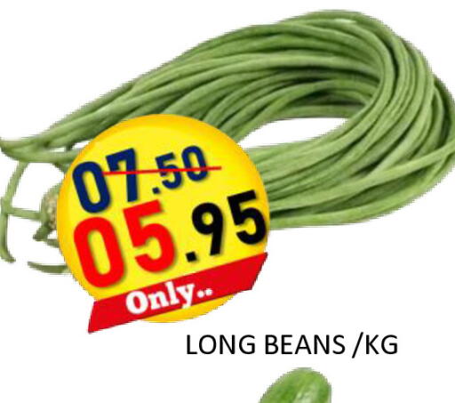 available at رويال جلف هايبرماركت in الإمارات العربية المتحدة , الامارات - أبو ظبي