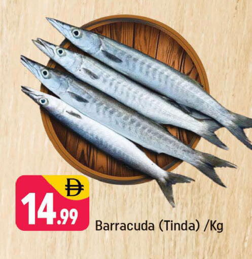 available at شكلان ماركت in الإمارات العربية المتحدة , الامارات - دبي