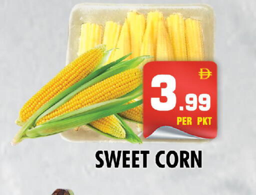 available at نايت تو نايت in الإمارات العربية المتحدة , الامارات - الشارقة / عجمان