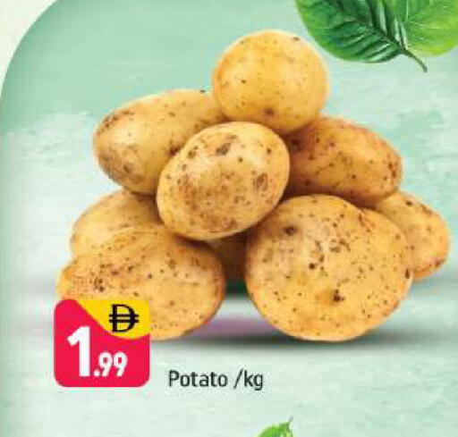 Potato available at Shaklan  in UAE - Dubai