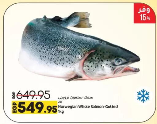 available at لولو هايبرماركت in Egypt - القاهرة