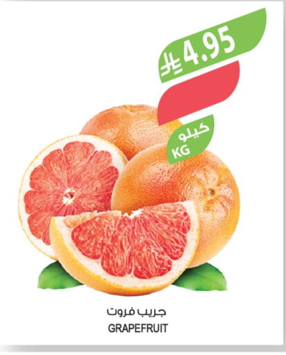 available at Farm  in KSA, Saudi Arabia, Saudi - Al-Kharj