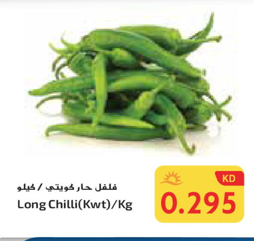 Chilli / Capsicum available at Grand Hyper in Kuwait - Ahmadi Governorate
