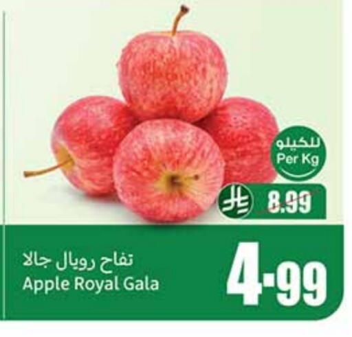 Apples available at Othaim Markets in KSA, Saudi Arabia, Saudi - Sakaka