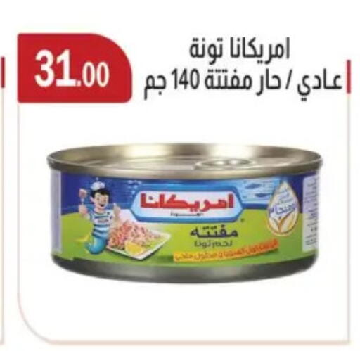 AMERICANA Tuna - Canned available at ABA market in Egypt - Cairo