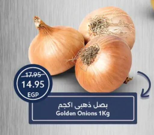 بصل available at  أوسكار جراند ستورز  in Egypt - القاهرة