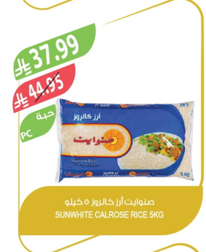 Calrose Rice available at Farm  in KSA, Saudi Arabia, Saudi - Tabuk