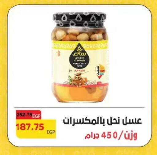 Honey available at Royal House in Egypt - Cairo
