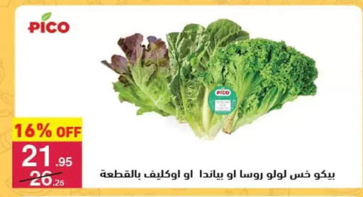 available at محمود الفار in Egypt - القاهرة