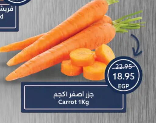 جزر available at  أوسكار جراند ستورز  in Egypt - القاهرة