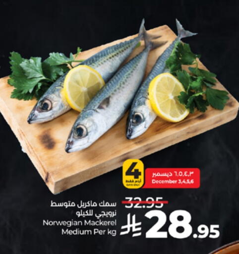 available at LULU Hypermarket in KSA, Saudi Arabia, Saudi - Tabuk