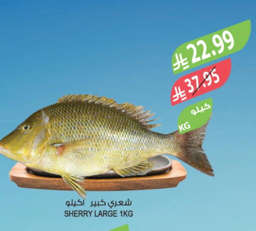 available at Farm  in KSA, Saudi Arabia, Saudi - Al-Kharj