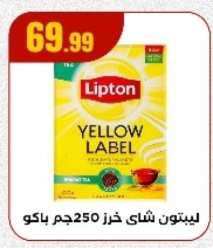 ليبتون available at المحلاوي ستورز in Egypt - القاهرة
