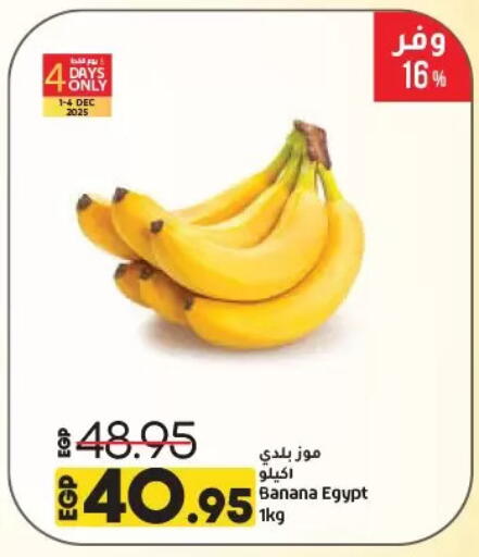 موز from Egypt available at لولو هايبرماركت in Egypt - القاهرة