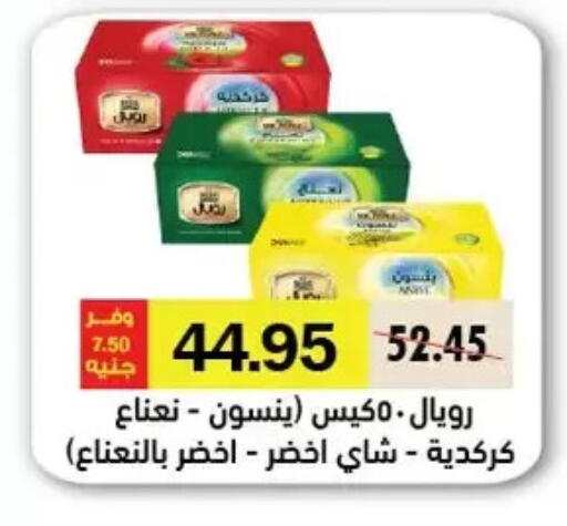 أكياس شاي available at رويال هاوس in Egypt - القاهرة