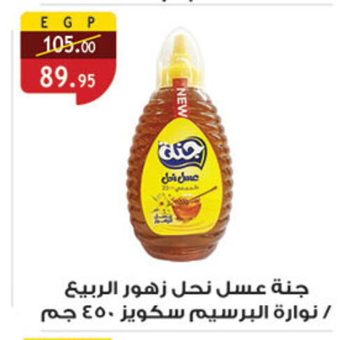 عسل available at الرايه  ماركت in Egypt - القاهرة