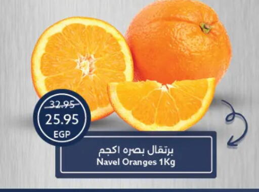 برتقال available at  أوسكار جراند ستورز  in Egypt - القاهرة