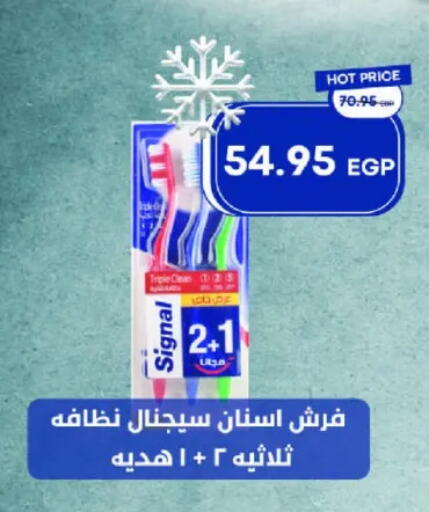 سيجنال available at مترو ماركت in Egypt - القاهرة
