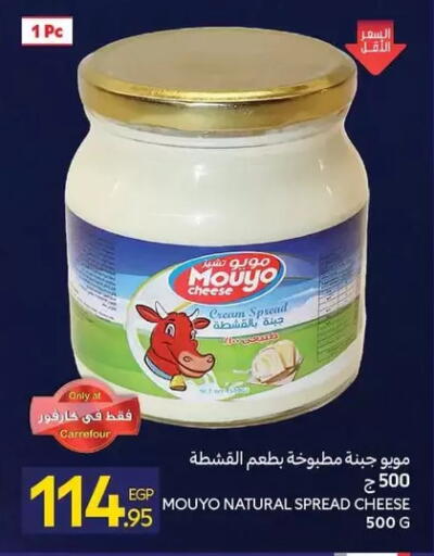 available at كارفور in Egypt - القاهرة