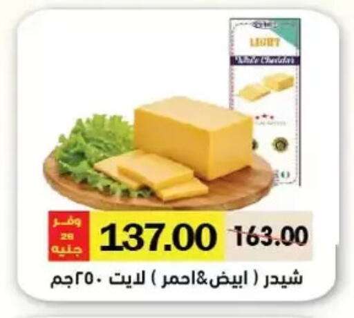 Cheddar Cheese available at Royal House in Egypt - Cairo