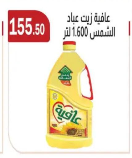AFIA available at ABA market in Egypt - Cairo