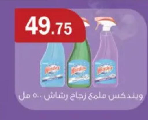 WINDEX Glass Cleaner available at ABA market in Egypt - Cairo
