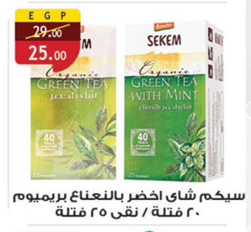 شاي أخضر available at الرايه  ماركت in Egypt - القاهرة