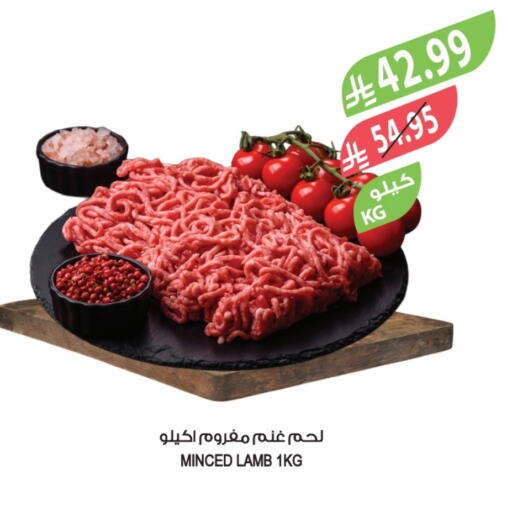 Mutton / Lamb available at Farm  in KSA, Saudi Arabia, Saudi - Al-Kharj