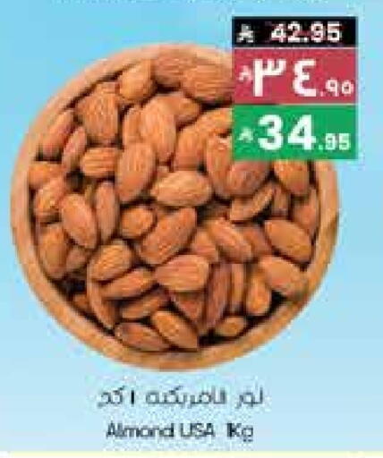 available at City Flower in KSA, Saudi Arabia, Saudi - Sakaka