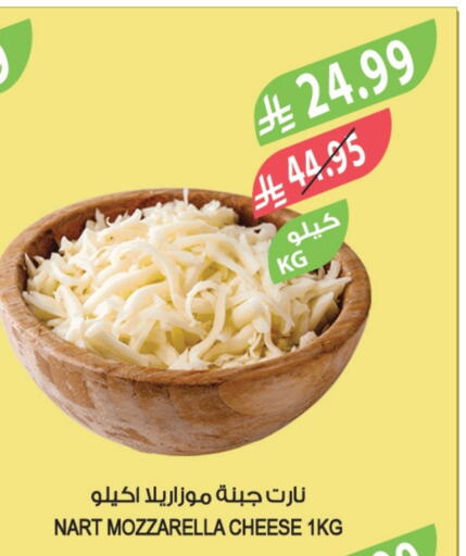 Mozzarella available at Farm  in KSA, Saudi Arabia, Saudi - Sakaka