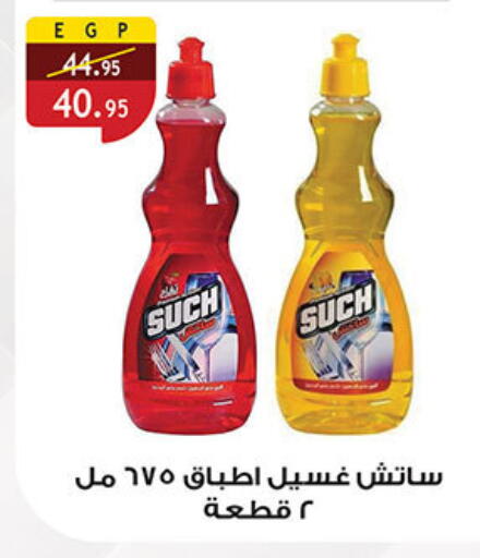 available at Al Rayah Market   in Egypt - Cairo