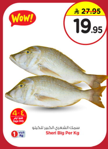 available at نستو in مملكة العربية السعودية, السعودية, سعودية - المجمعة