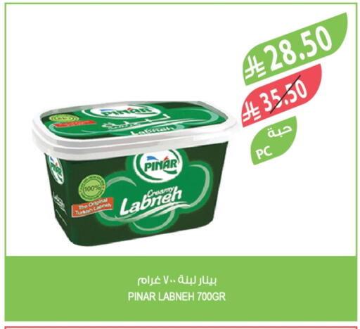 PINAR Labneh available at Farm  in KSA, Saudi Arabia, Saudi - Al-Kharj