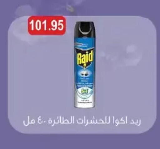 رايد available at رويال هاوس in Egypt - القاهرة