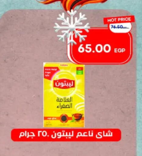 ليبتون available at مترو ماركت in Egypt - القاهرة