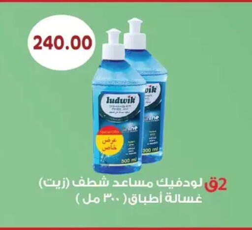 available at رويال هاوس in Egypt - القاهرة