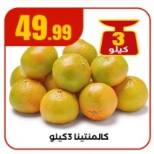 available at المحلاوي ستورز in Egypt - القاهرة