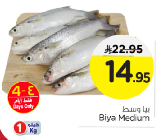 available at نستو in مملكة العربية السعودية, السعودية, سعودية - المجمعة