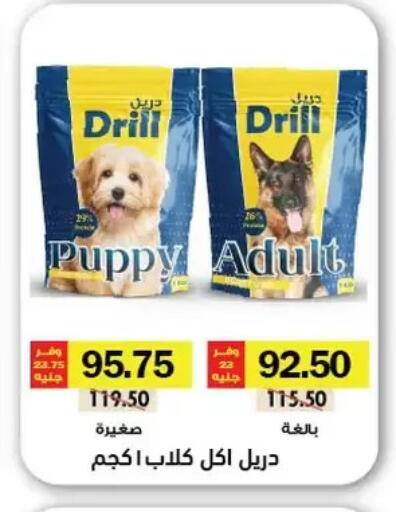 available at رويال هاوس in Egypt - القاهرة