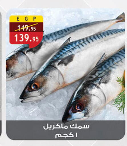 available at Al Rayah Market   in Egypt - Cairo