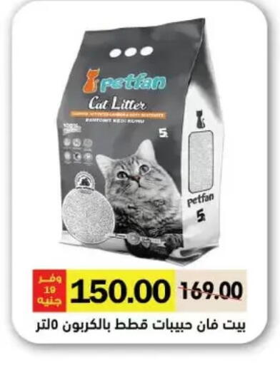 available at Royal House in Egypt - Cairo