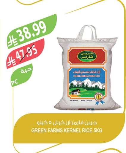 Basmati / Biryani Rice available at Farm  in KSA, Saudi Arabia, Saudi - Al-Kharj