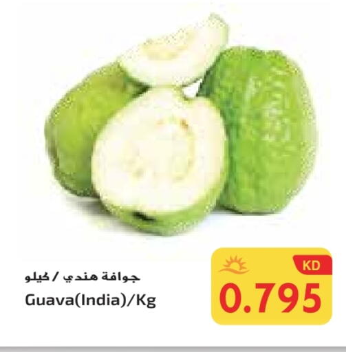 جوافة from India available at جراند كوستو in الكويت - محافظة الأحمدي