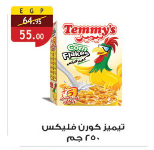 TEMMYS Cereals available at Al Rayah Market   in Egypt - Cairo