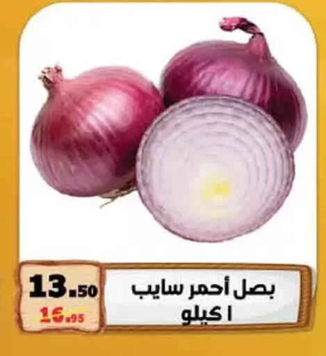 بصل available at محمود الفار in Egypt - القاهرة